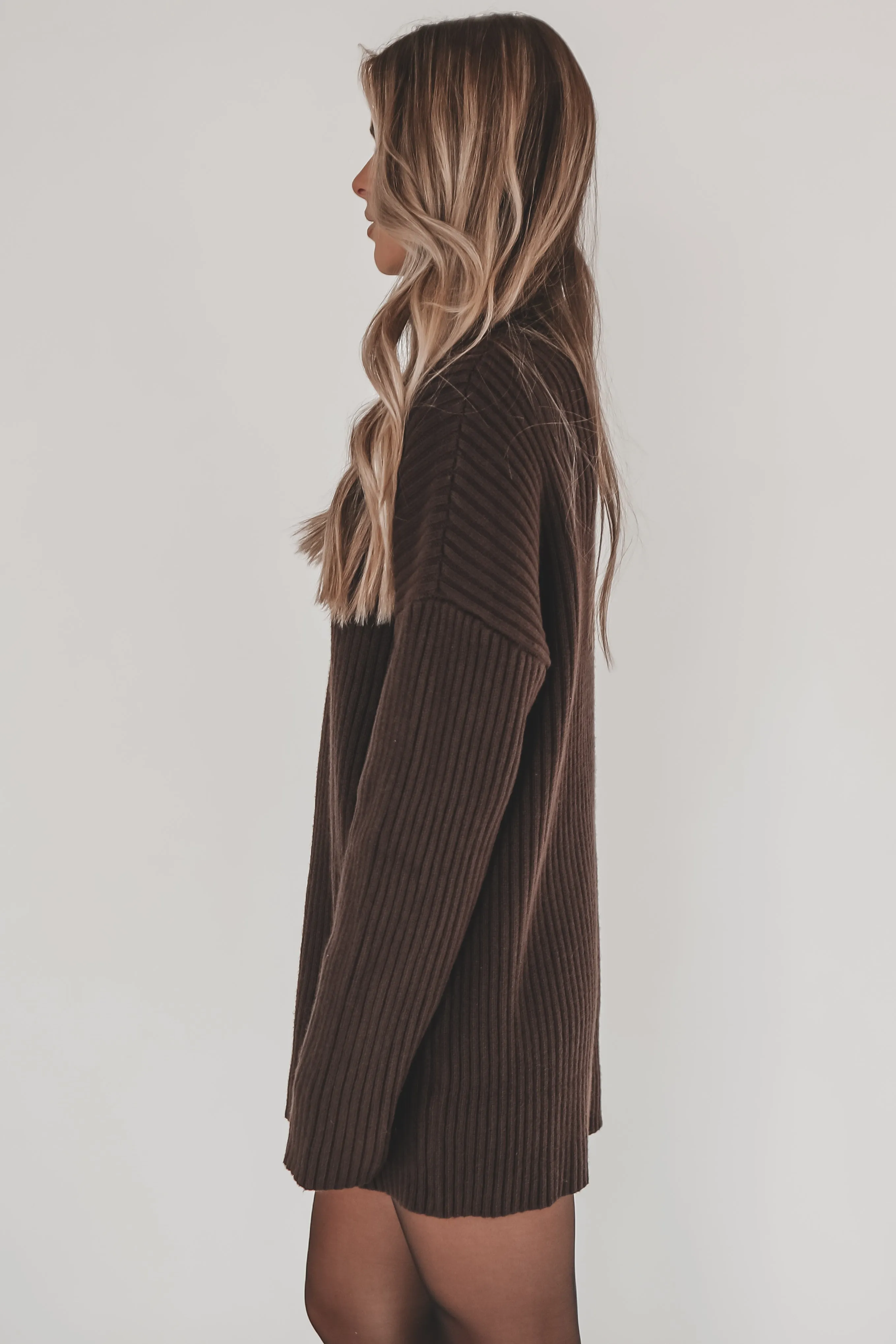 Cozy Enough Chocolate Brown Turtleneck Sweater Dress